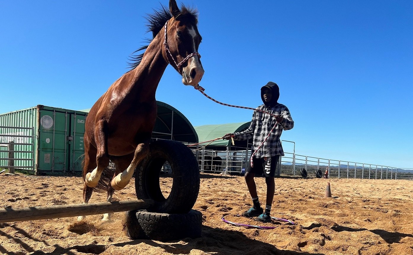 trail horse training